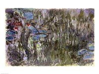 Waterlilies with Reflections of Willows, c.1920 Fine Art Print