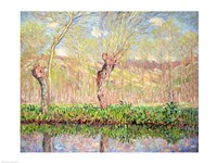 Spring, River Bank at Epte, 1885 Fine Art Print
