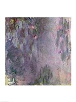 Light-coloured Waterlilies, 1917-25 Fine Art Print