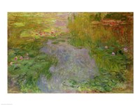 Waterlilies, c.1919 Fine Art Print
