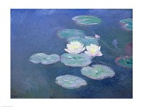 Waterlilies, Evening Fine Art Print