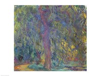 Weeping Willow, 1918-19 Fine Art Print