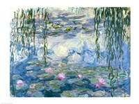 Waterlilies, 1916-19 Fine Art Print