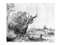 View of Omval, near Amsterdam, 1645 Fine Art Print