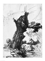 St. Jerome Writing, 1648 Fine Art Print