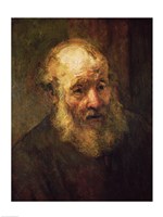 Head of an Old Man, c.1650 Fine Art Print
