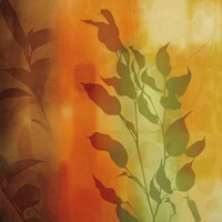 Nature's Glow I Fine Art Print