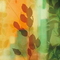 Nature's Glow II Fine Art Print