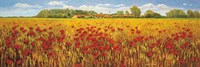 Campo di papaveri Fine Art Print