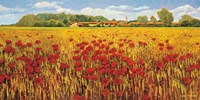 Campo di papaveri Fine Art Print