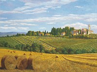 Campo in Toscana Fine Art Print