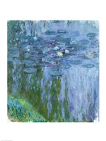 Waterlilies (blue & green vertical) Fine Art Print