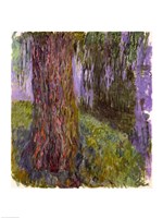 Weeping Willow and the Waterlily Pond Fine Art Print