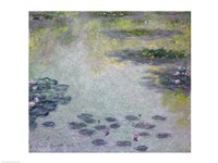 Waterlilies, 1906 detail Fine Art Print