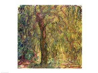 Weeping Willow green Fine Art Print