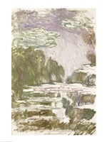 Study for the Waterlilies, 1907 Fine Art Print