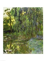 Weeping Willows, The Waterlily Pond at Giverny, c.1918 Fine Art Print