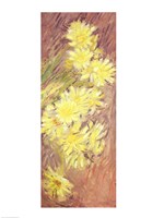 Marguerites Jaunes Fine Art Print