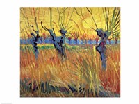 Pollarded Willows and Setting Sun, 1888 Fine Art Print