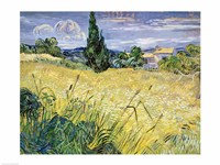 Landscape with Green Corn, 1889 Fine Art Print