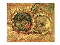 Two Cut Sunflowers, 1887 Fine Art Print