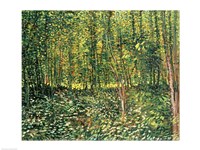 Trees and Undergrowth, 1887 Fine Art Print