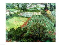 Field with Poppies, 1889 Fine Art Print