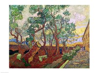 The Garden of St. Paul's Hospital at St. Remy, 1889 Fine Art Print