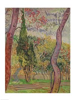 The Park at the Saint-Paul Hospital, 1889 Fine Art Print