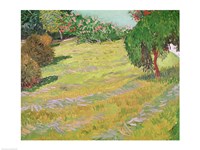 Field in Sunlight, 1888 Fine Art Print