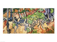 Tree roots, 1890 Fine Art Print