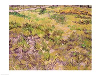 Meadow with Butterflies, 1890 Fine Art Print