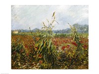 Corn Fields and Poppies, 1888 Fine Art Print