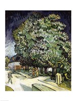 Chestnut trees in Blossom, Auvers-sur-Oise, 1890 Fine Art Print
