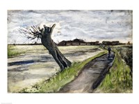 Pollard Willow, 1882 Fine Art Print