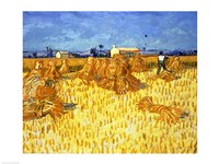 Harvest in Provence Fine Art Print