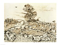 Rocky Ground at Montmajour Fine Art Print