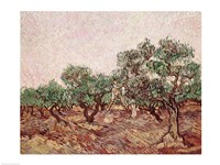 The Olive Pickers - picking Fine Art Print