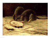 Two Rats Fine Art Print