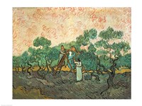 The Olive Pickers Fine Art Print