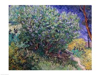 Lilac Bush, 1889 Fine Art Print