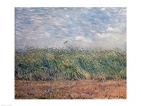 Wheatfield with Lark, 1887 Fine Art Print