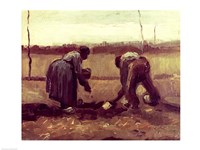 Two Peasants Planting Potatoes, 1885 Fine Art Print