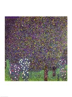 Roses under the Trees, c.1905 Fine Art Print