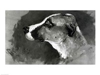 Head of a Dog with Short Ears, 1879 Fine Art Print