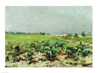 Celeyran, View of the Vineyard, 1880 Fine Art Print