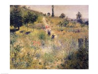 The Path through the Long Grass Fine Art Print