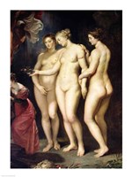 The Medici Cycle: Education of Marie de Medici, detail of the Three Graces by Peter Paul Rubens - various sizes - $16.49