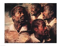 Studies of the Head of a Negro Fine Art Print