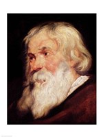 Head of an Old Man Fine Art Print